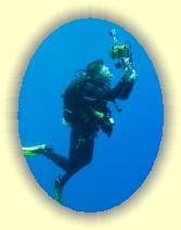 IMG_2007_05_29 14_48_04 * 2304 x 3072 * (316KB)